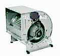 Radyal Fanlar